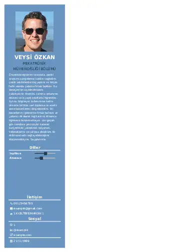 Mekatronik Mühendisliği Cv Örnekleri cv indir